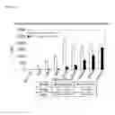 Fig. 20 - Fluorescent neutralization and adherence inhibition assays