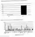Fig. 30 - Nucleotide and amino acid sequences, and assays and methods of use thereof for diagnosis