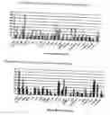 Fig. 42 - Nucleotide and amino acid sequences, and assays and methods of use thereof for diagnosis