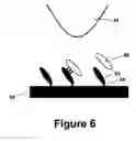 Fig. 07 - Detection of macromolecular complexes with harmonic cantilevers