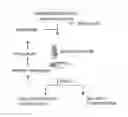 Fig. 01 - Materials and methods for the generation of transcripts comprising modified nucleotides