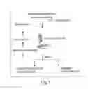 Fig. 02 - Materials and methods for the generation of transcripts comprising modified nucleotides