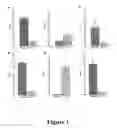 Fig. 02 - Compositions and Methods for Prognosis, Diagnosis, Prevention and Treatment of Cancers