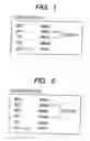 Fig. 02 - Probe, probe set, probe-immobilized carrier, and genetic testing method