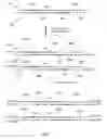 Fig. 16 - METHYLATION ANALYSIS OF MATE PAIRS