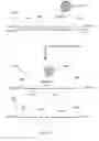 Fig. 17 - METHYLATION ANALYSIS OF MATE PAIRS