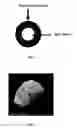 Fig. 02 - Method for isolating and culturing unculturable microorganisms