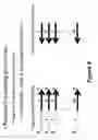 Fig. 07 - Methods for detecting multiple target nucleic acids in multiple samples by use nucleotide tags