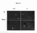 Fig. 09 - METHODS FOR DETECTING AND TREATING KIDNEY DISEASE