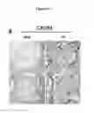 Fig. 12 - METHODS FOR DETECTING AND TREATING KIDNEY DISEASE