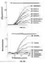 Fig. 04 - Assays for short sequence variants