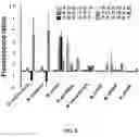 Fig. 07 - Assays for short sequence variants