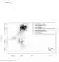 Fig. 11 - BIOMARKERS FOR SERIOUS SKIN RASH
