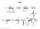 Fig. 02 - Orotate transporter encoding marker genes