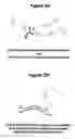Fig. 03 - Monomeric and polymeric linkers useful for conjugating biological molecules and other substances