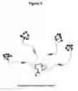 Fig. 04 - Monomeric and polymeric linkers useful for conjugating biological molecules and other substances