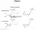 Fig. 05 - Monomeric and polymeric linkers useful for conjugating biological molecules and other substances