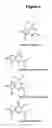 Fig. 07 - Monomeric and polymeric linkers useful for conjugating biological molecules and other substances