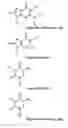 Fig. 08 - Monomeric and polymeric linkers useful for conjugating biological molecules and other substances