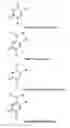Fig. 09 - Monomeric and polymeric linkers useful for conjugating biological molecules and other substances