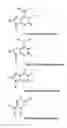 Fig. 10 - Monomeric and polymeric linkers useful for conjugating biological molecules and other substances