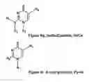 Fig. 11 - Monomeric and polymeric linkers useful for conjugating biological molecules and other substances