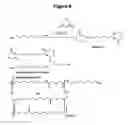 Fig. 13 - Monomeric and polymeric linkers useful for conjugating biological molecules and other substances