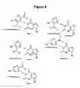 Fig. 14 - Monomeric and polymeric linkers useful for conjugating biological molecules and other substances