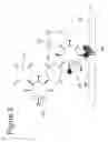 Fig. 05 - RAPID IMMUNOCHROMATOGRAPHIC DETECTION BY AMPLIFICATION OF THE COLLOIDAL GOLD SIGNAL