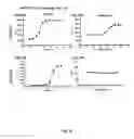 Fig. 12 - GPCR Arrestin Assays