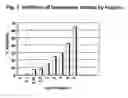 Fig. 04 - Method for determining endoglycosidase (heparanase) enzyme activity