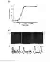 Fig. 06 - METHOD FOR DETECTING INTERACTIONS BETWEEN TWO AND MORE BIOLOGICAL MACROMOLECULES