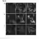 Fig. 12 - METHOD FOR DETECTING INTERACTIONS BETWEEN TWO AND MORE BIOLOGICAL MACROMOLECULES