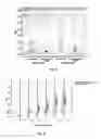 Fig. 02 - H. Meleagridis Assay