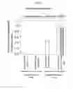 Fig. 04 - MULTIPOTENT/PLURIPOTENT CELLS AND METHODS
