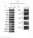 Fig. 08 - MULTIPOTENT/PLURIPOTENT CELLS AND METHODS