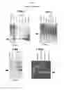 Fig. 16 - MULTIPOTENT/PLURIPOTENT CELLS AND METHODS