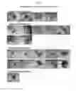Fig. 18 - MULTIPOTENT/PLURIPOTENT CELLS AND METHODS