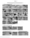 Fig. 19 - MULTIPOTENT/PLURIPOTENT CELLS AND METHODS