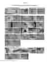 Fig. 20 - MULTIPOTENT/PLURIPOTENT CELLS AND METHODS