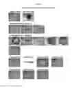 Fig. 24 - MULTIPOTENT/PLURIPOTENT CELLS AND METHODS