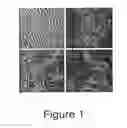 Fig. 02 - Trans-Differentiation And Re-Differentiation Of Somatic Cells And Production Of Cells For Cell Therapies