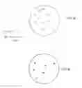 Fig. 02 - Medium for detecting and differentiating vancomycin-resistant enterococci