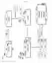 Fig. 02 - Vector and expression cell line for mass production of recombinant protein and a process of producing recombinant protein using same