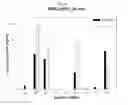 Fig. 05 - Vector and expression cell line for mass production of recombinant protein and a process of producing recombinant protein using same