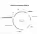 Fig. 09 - Mammalian expression vector pUHAB