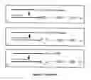 Fig. 11 - RECOMBINANT PROTEINS AND VIRUS LIKE PARTICLES COMPRISING L AND S POLYPEPTIDES OF AVIAN HEPADNAVIRIDAE AND METHODS, NUCLEIC ACID CONSTRUCTS, VECTORS AND HOST CELLS FOR PRODUCING SAME