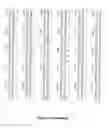 Fig. 118 - RECOMBINANT PROTEINS AND VIRUS LIKE PARTICLES COMPRISING L AND S POLYPEPTIDES OF AVIAN HEPADNAVIRIDAE AND METHODS, NUCLEIC ACID CONSTRUCTS, VECTORS AND HOST CELLS FOR PRODUCING SAME