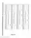 Fig. 131 - RECOMBINANT PROTEINS AND VIRUS LIKE PARTICLES COMPRISING L AND S POLYPEPTIDES OF AVIAN HEPADNAVIRIDAE AND METHODS, NUCLEIC ACID CONSTRUCTS, VECTORS AND HOST CELLS FOR PRODUCING SAME