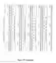Fig. 134 - RECOMBINANT PROTEINS AND VIRUS LIKE PARTICLES COMPRISING L AND S POLYPEPTIDES OF AVIAN HEPADNAVIRIDAE AND METHODS, NUCLEIC ACID CONSTRUCTS, VECTORS AND HOST CELLS FOR PRODUCING SAME